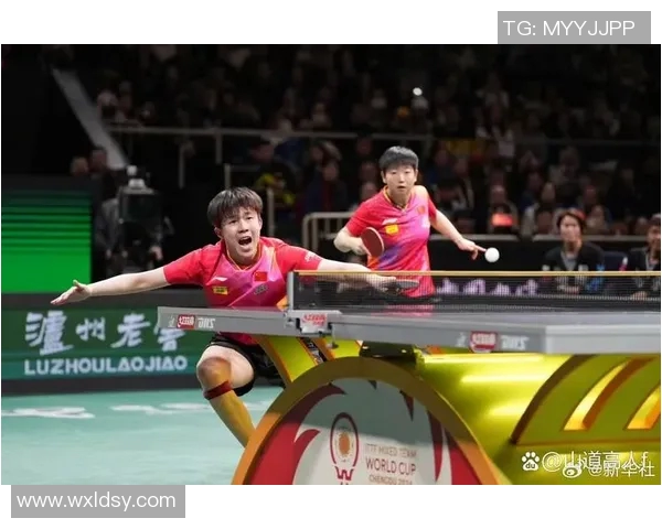 武汉乒乓球队状态分析与未来展望聚焦乒乓球运动发展新机遇