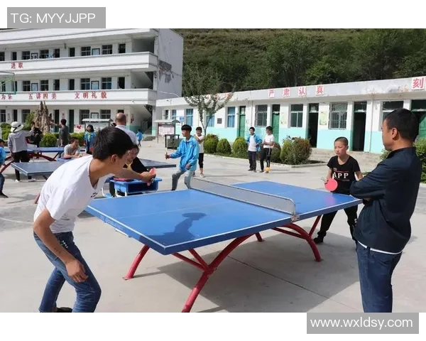 赵军独家分享乒乓球技巧与心得助你提升球技的全面指南