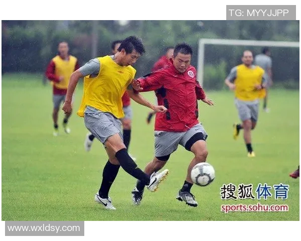 足球明星惠家康的传奇之路与场上风采解析